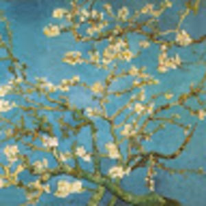 Meet your Posher, Kiffany